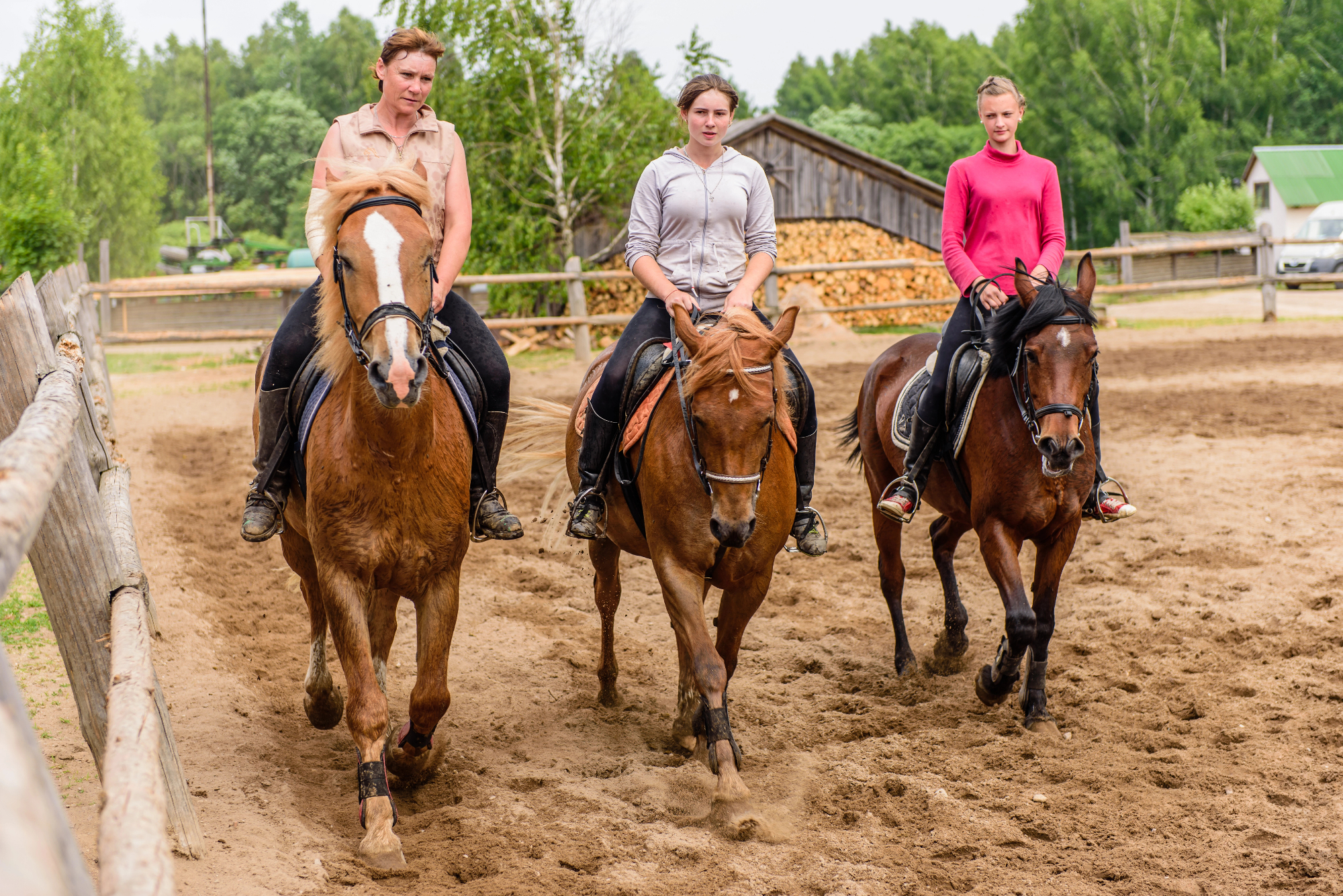 Konjeniški tabor je nepozabna izkušnja.